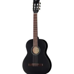 Ortega RST5M-3/4BK