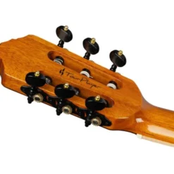Ortega RTP-LTD2