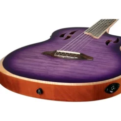 Ortega RTP-LTD2