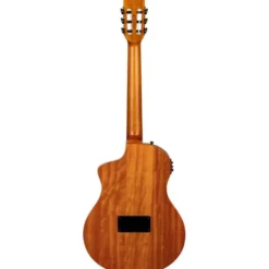 Ortega RTP-LTD2