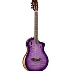 Ortega RTP-LTD2