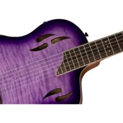 Ortega RTP-LTD2