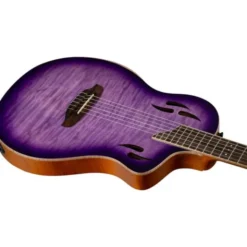 Ortega RTP-LTD2