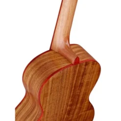 Ortega RUACA-TE