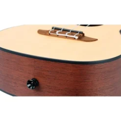 Ortega RU4 Bonfire Ukulele
