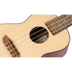 Ortega RU4 Bonfire Ukulele