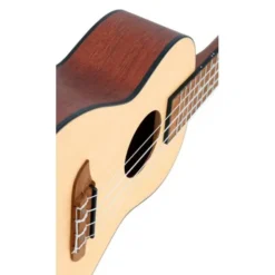 Ortega RU4 Bonfire Ukulele