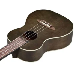 Ortega RUCOAL Concert
