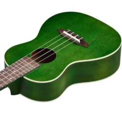 Ortega RUFOREST Concert