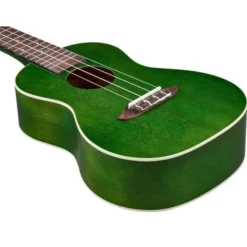 Ortega RUFOREST Concert