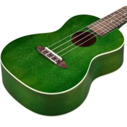 Ortega RUFOREST Concert