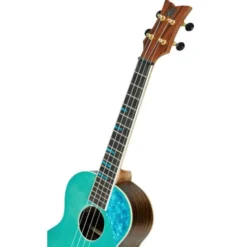 Ortega RUGH-OCT