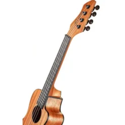 Ortega RUHZ-CE-MM Concert