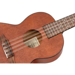 Ortega RU4MM-TE-8