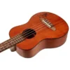 Ortega RU5MM-TE Ukulele