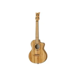 Ortega RUNAB-TE B-Stock
