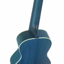 Ortega RUOCEAN Concert