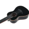 Ortega RUOX-CC