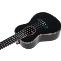 Ortega RUOX-CC