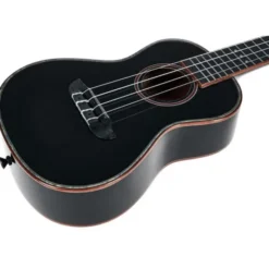 Ortega RUOX-CC
