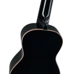 Ortega RUOX-CC
