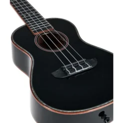 Ortega RUOX-CC