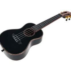 Ortega RUOX-CC