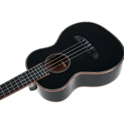 Ortega RUOX-TE