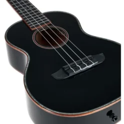 Ortega RUOX-TE