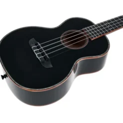 Ortega RUOX-TE