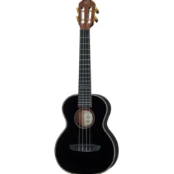 Ortega RUOX-TE