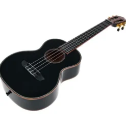 Ortega RUOX-TE