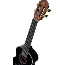Ortega RUOX-TE