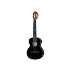 Ortega RUOX-TE B-Stock