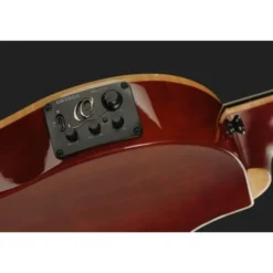 Ortega Tour Player ACA Burst LH