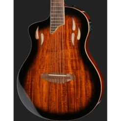 Ortega Tour Player ACA Burst LH