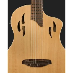 Ortega Tour Player NAT