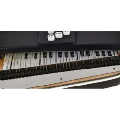 Oscar Schmidt OS120CNE Autoharp Adirondack