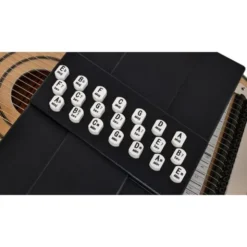 Oscar Schmidt OS120CNE Autoharp Adirondack