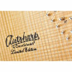 Oscar Schmidt OS110 21FNE Autoharp