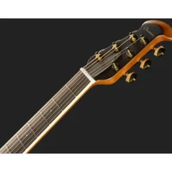 Ovation Celebrity Deluxe CDX40-1-G VSB
