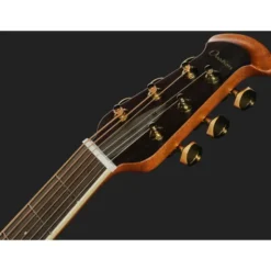 Ovation Celebrity Deluxe CDX40-5-G BLS