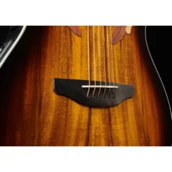 Ovation CelebrityElitePlusCE48P-KOAB-G