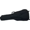 Ovation CelebrityElitePlusCE48P w/bag