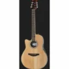 Ovation Celebrity Tradition CS-24L-4-G