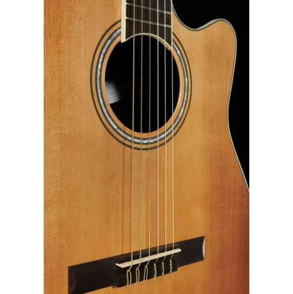 Ovation Celebrity Tradition CS-24C-4-G