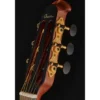 Ovation Pro Series Classic 1773AX-4-G