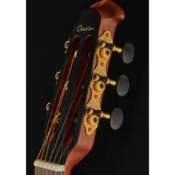 Ovation Pro Series Classic 1773AX-4-G
