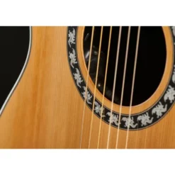 Ovation Pro Series Classic 1773AX-4-G