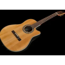 Ovation Pro Series Classic 1773AX-4-G